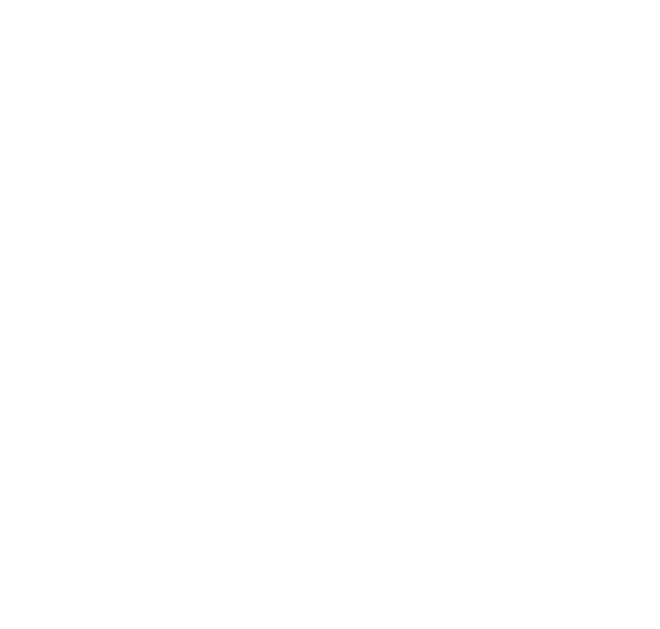 Small Business Advance